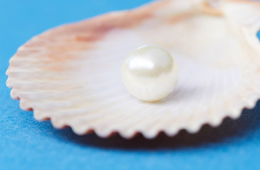 Fototapeta na wymiar pearls on the blue background