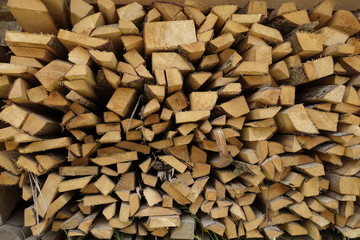 Pile of wood logs. Wood logs texture background