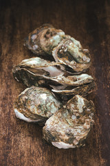 Fresh oysters on wooden background