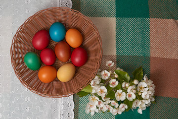 Colorful Chicken and Quail Eggs on white and green plaid Happy Easter