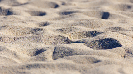 Texture of sand surface taken on the beach