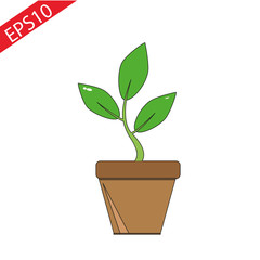 Vector flat house plant pot illustration. Colorful house plant in pot for your design.