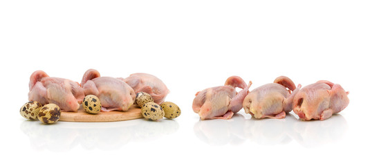 carcasses of quail and quail eggs on a white background