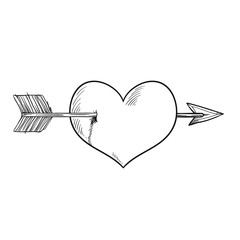 Vector cartoon heart pieced by Cupid arrow. Black and white version. Heart pierced by arrow, symbol of love, romance and passion, marriage icon. Sketch style illustration isolated on white background.