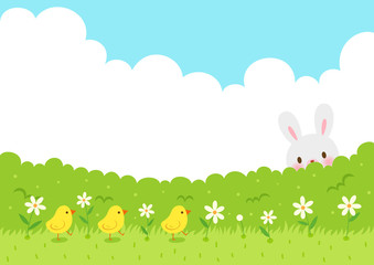 Cute Chicks walking on the grass and cute rabbit hiding behind the bushes