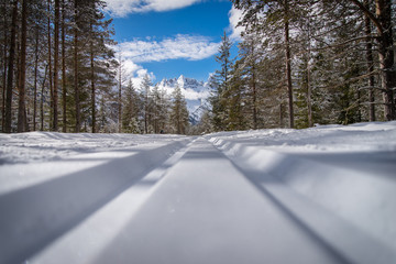 Cross country ski trail in the national park, Italy Dolomites