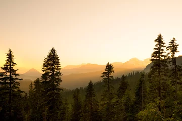 Tableau sur toile Coucher de soleil Panoramic view of Mount Rainier National Park, Washington State, USA  © Jose Luis Stephens