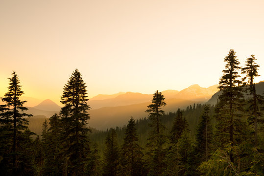 Panoramic view of Mount Rainier National Park, Washington State, USA © Jose Luis Stephens