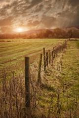 Rural farmland fence