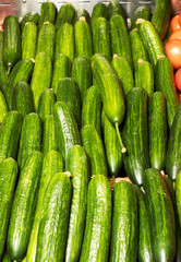 Green cucumbers on shelf in supermarket. Organic eating. Agriculture retailer. Farmer's food