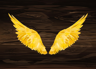 Wings. Vector illustration on wooden background. Golden color