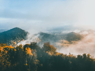 foggy sunrise 