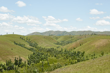 Fototapeta na wymiar Gerodete Landschaft Madagaskar