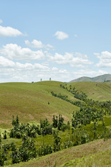 Fototapeta na wymiar Gerodete Landschaft Madagaskar