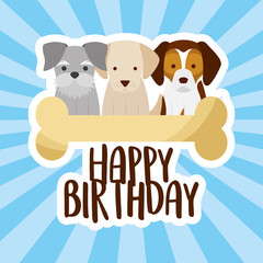 happy birthday card three dogs and bone vector illustration