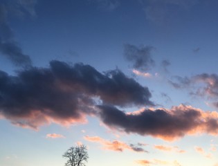Fototapeta na wymiar pink clouds in late winter sky at sunset