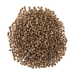 coriander isolated on white background