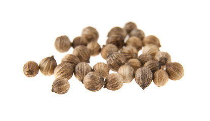 coriander isolated on white background