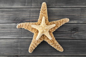 sea stars on a wooden background