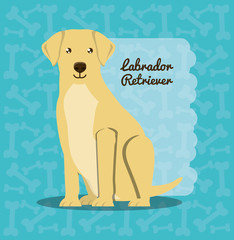 labrador retriever dog icon over background, colorful design vector illustration