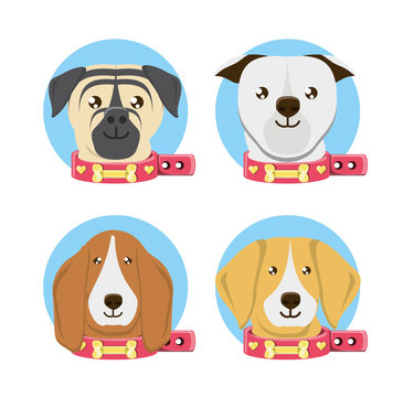 Icon set of cute dogs of different breeds over white background, colorful design vector illustration