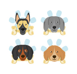 Fototapeta premium icon set of dogs with bones over white background, colorful design vector illustration