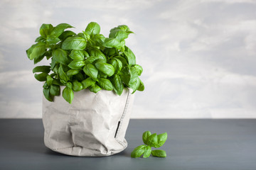 fresh basil herb in paper pot