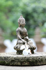 Buddha statue and Leelawadee flower on the stone.