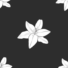 White flower on a gray background