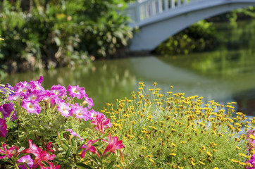 Flowers in the garden have a stone bridge behind.