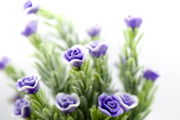 Fototapeta premium Purple Rose ,Artificial violet Flower Isolated on White background.