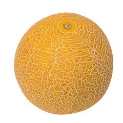 Fresh galia melon isolated on a white background.