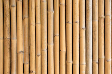 Fototapeta premium Close up of yellow bamboo texture background