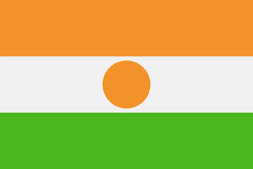 Niger Flag Vector Flat Icon