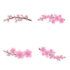 Sakura flowers icon set , cherry blossom vector illustration