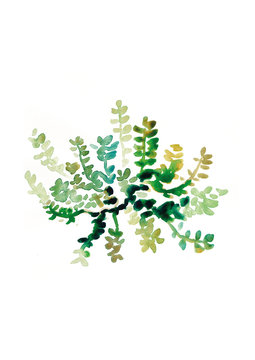 Plant 01