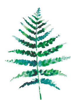 Plant 02