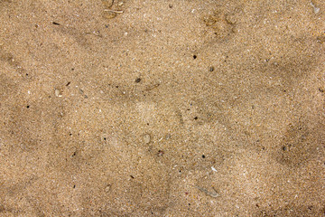 Fototapeta premium Beach sands texture