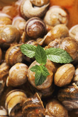 spanish caracoles en salsa, cooked snails in sauce