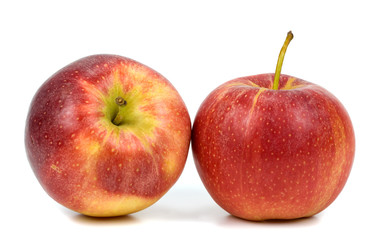 apples on a white background