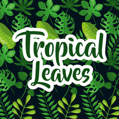 Tropic leaves background with frame for your text. texture vector.