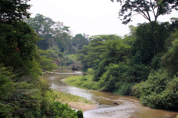 Fototapeta na wymiar Seen und Gewässer in Uganda Afrika