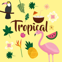 tropical leaves fruit flower flamingo pineapple watermelon toucan coconut vector illustration
