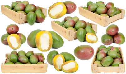 Mangos in wooden boxes on white background