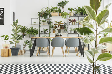 Plants against white wall