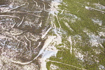 Pfefferkörner von oben