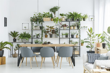 Apartment interior with dining area