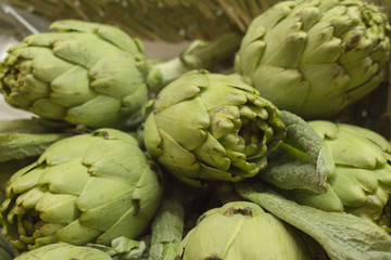 Obraz premium green artichokes agriculture