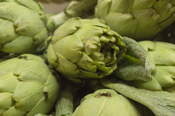 green artichokes agriculture