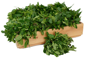 Mint in wooden box on white background